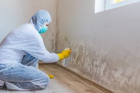 Best Environmental Consulting for Mold Prevention  in Lyons, GA