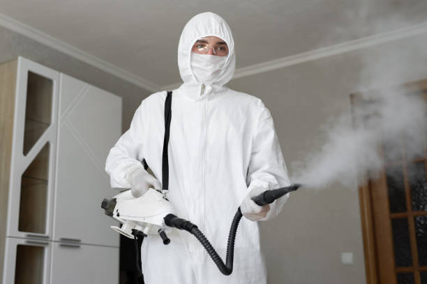 Professional Mold Inspection in Lyons, GA