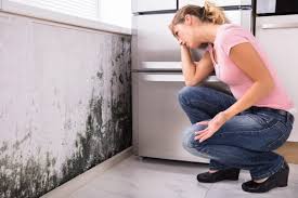 Best Mold Prevention Services  in Lyons, GA